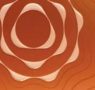 Amber TERA Box incense sticks (10 pcks)